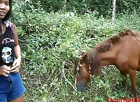HD peeing next round horse hither jungle